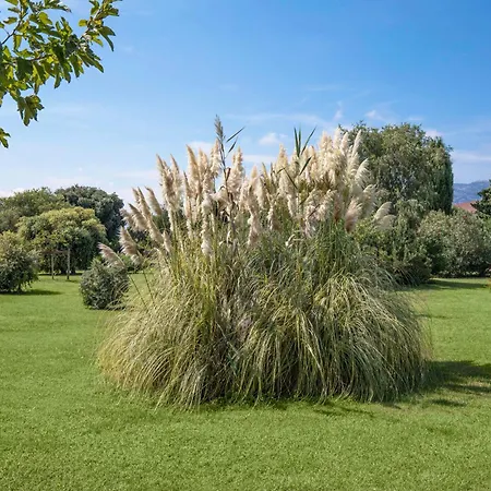 Sentido Orosei 4*