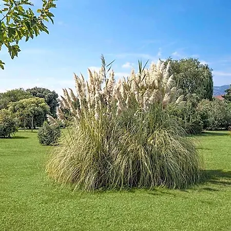 Sentido Orosei 4*